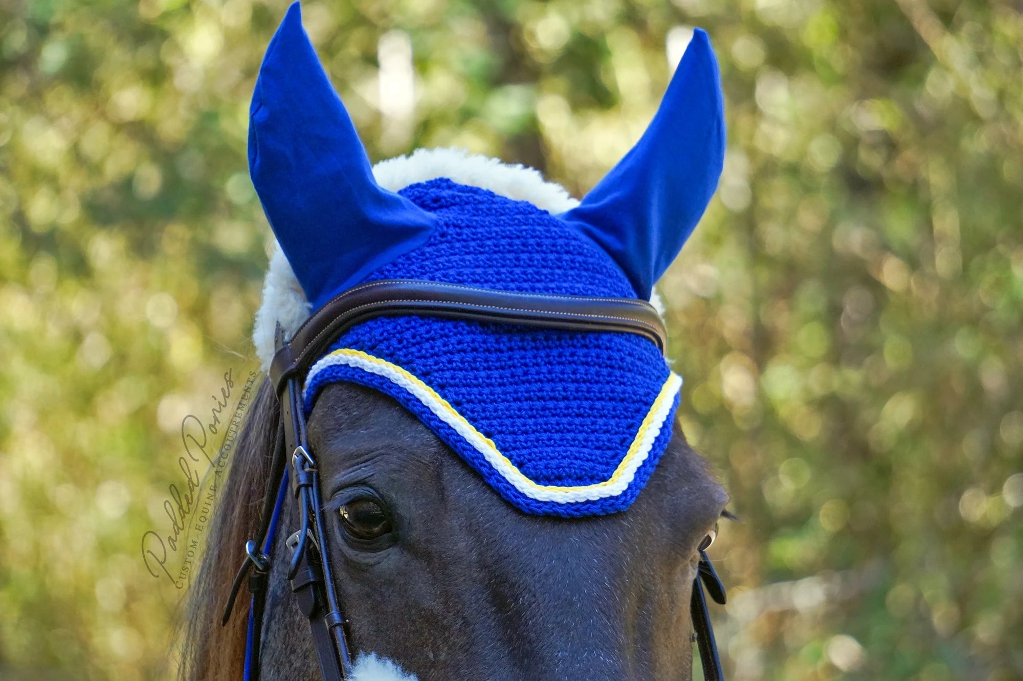 Royal Blue and Yellow Solid Color Fly Veil Bonnet