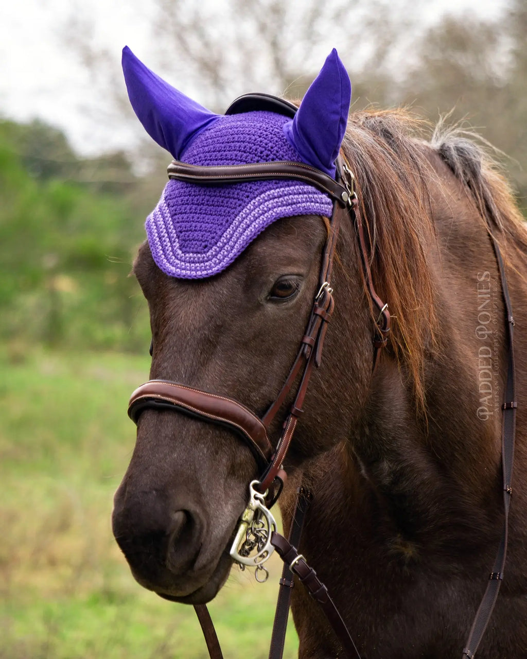 Purple and Orchid Stripe Trim Fly Veil Bonnet Horse Size