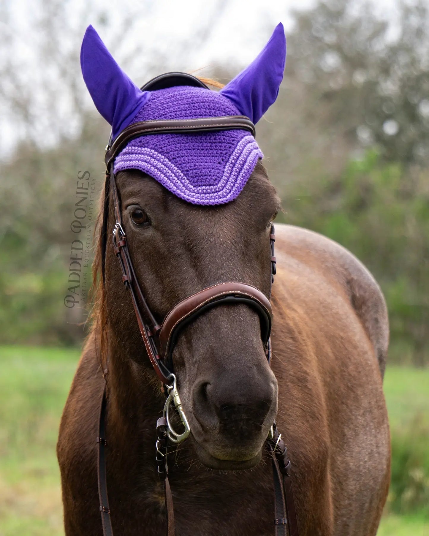 Purple and Orchid Stripe Trim Fly Veil Bonnet Horse Size