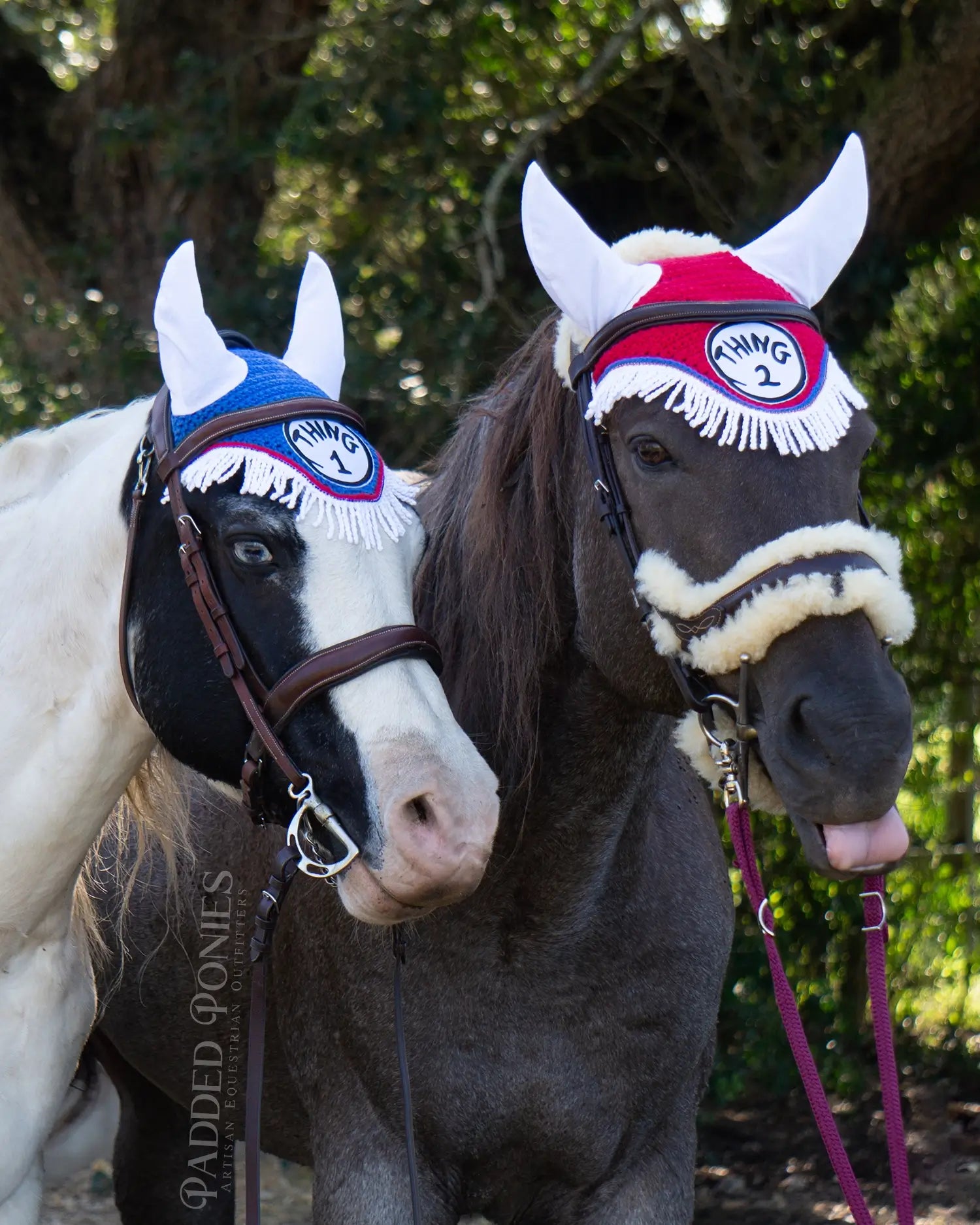 Dr. Seuss Thing 1 and Thing 2 Matching Fly Veil Bonnets