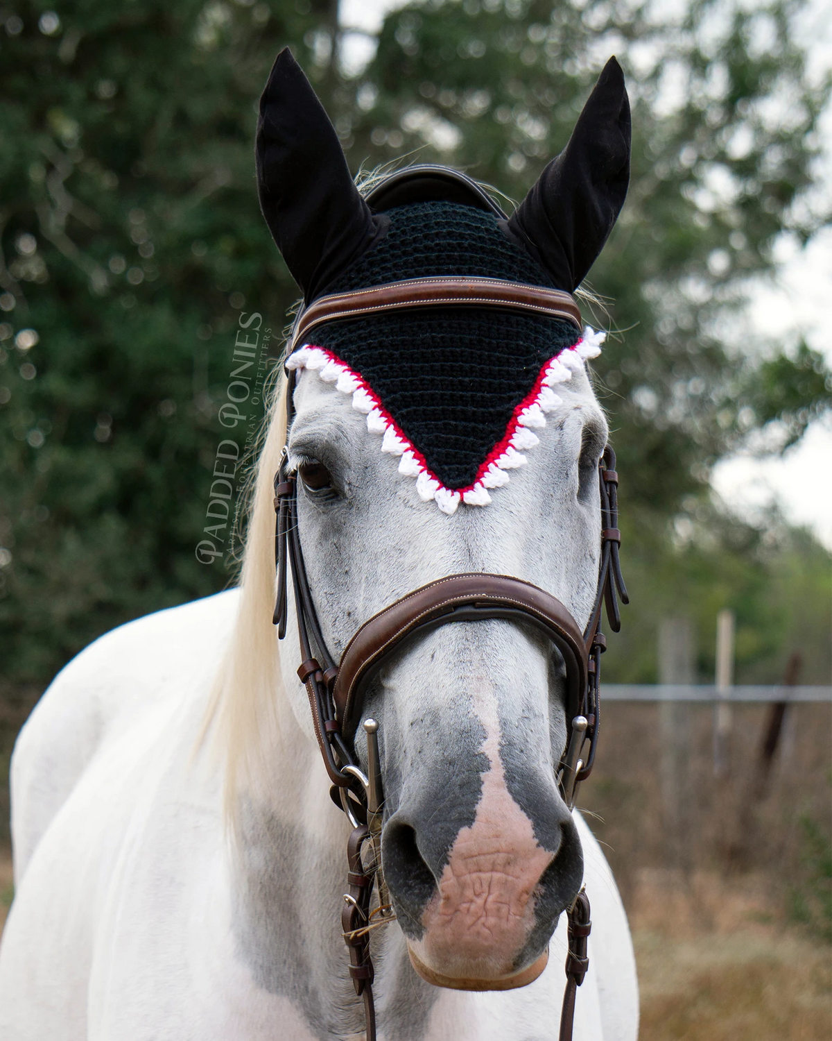Sharp Monster Teeth Halloween Costume Fly Veil Bonnet Horse Size