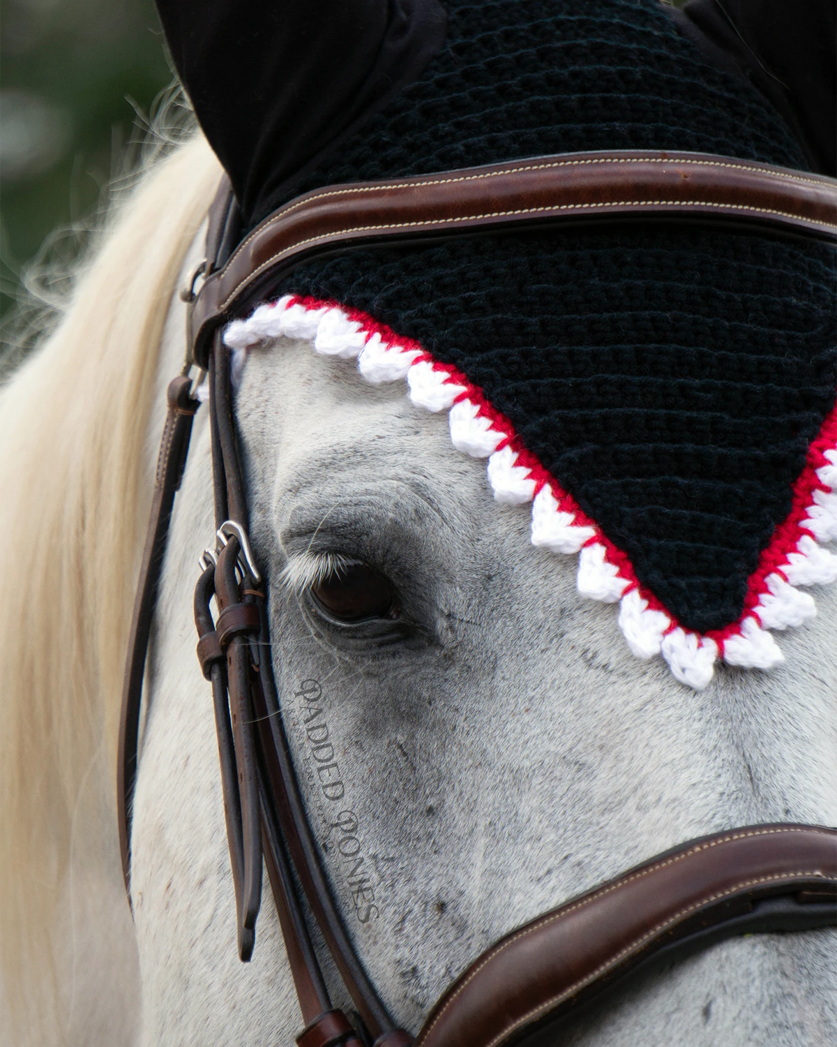 Sharp Monster Teeth Halloween Costume Fly Veil Bonnet Horse Size