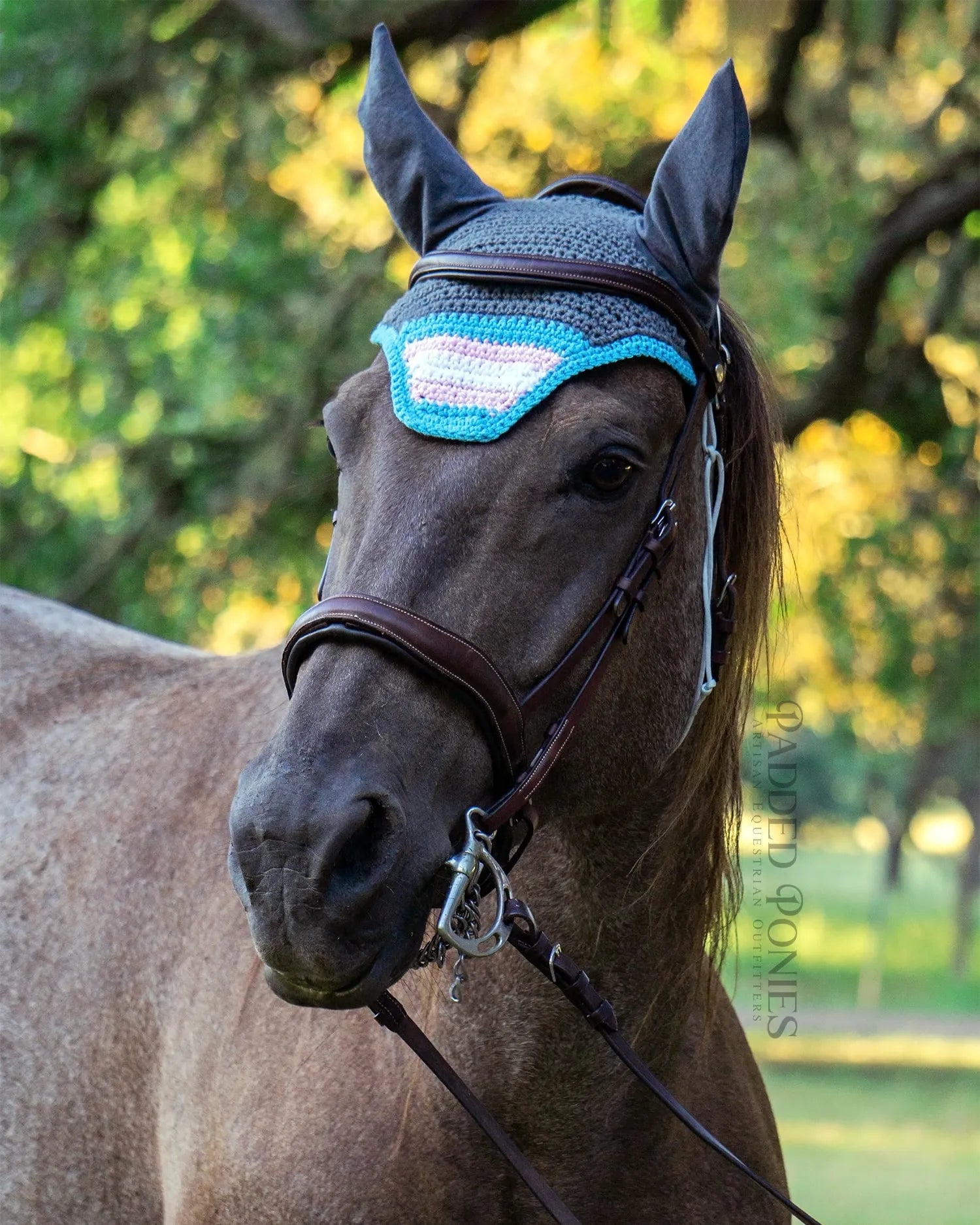 LGBTQ+ Transgender Flag Tip Gray Fly Veil Bonnet