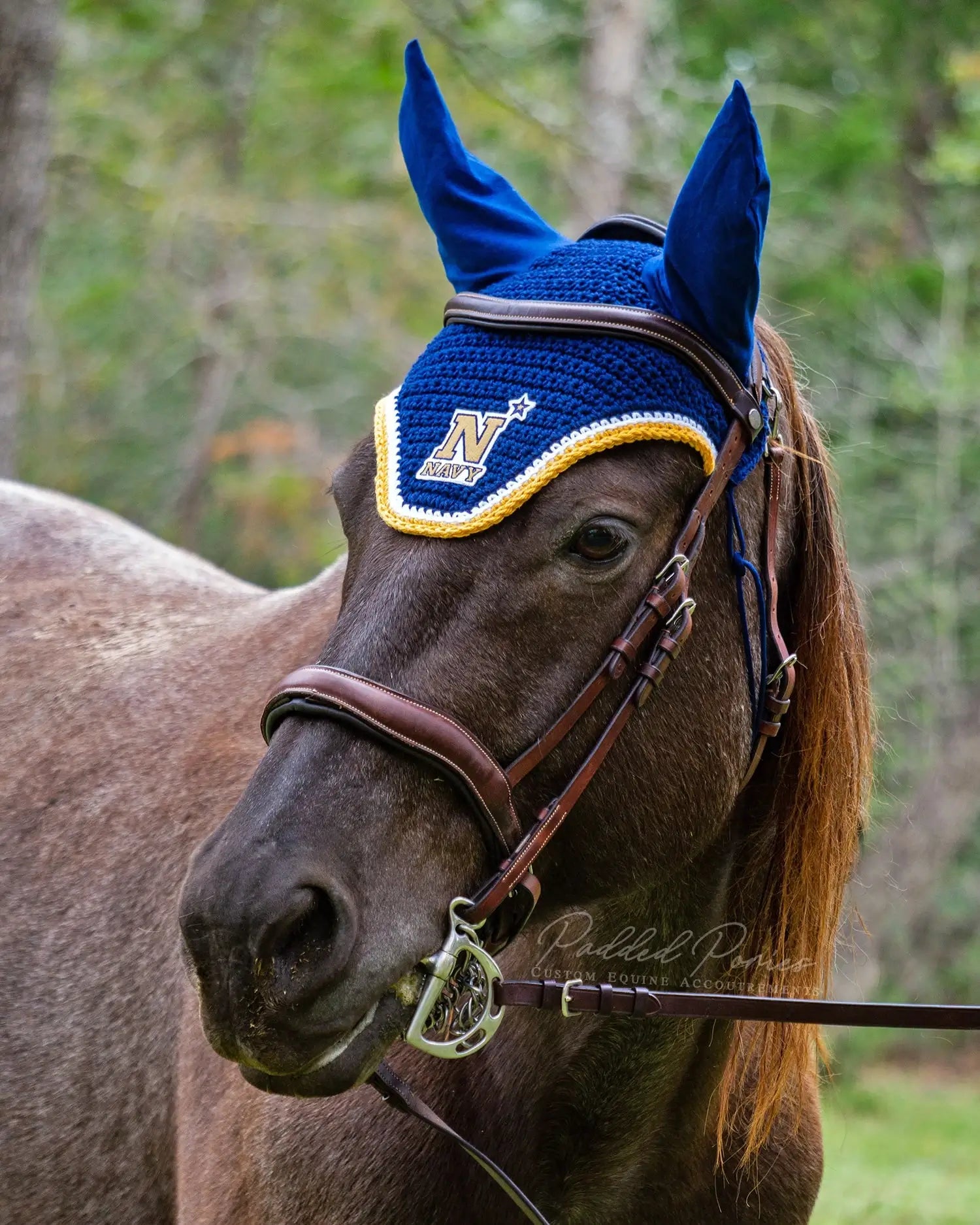 Navy Blue and Gold United States Naval Academy Patch Fly Veil Bonnet