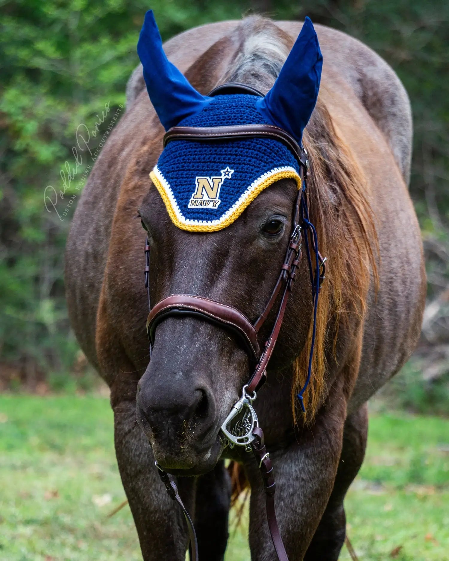 Navy Blue and Gold United States Naval Academy Patch Fly Veil Bonnet