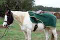 Hunter Green and Gold Luxe Velvet Quarter Sheet