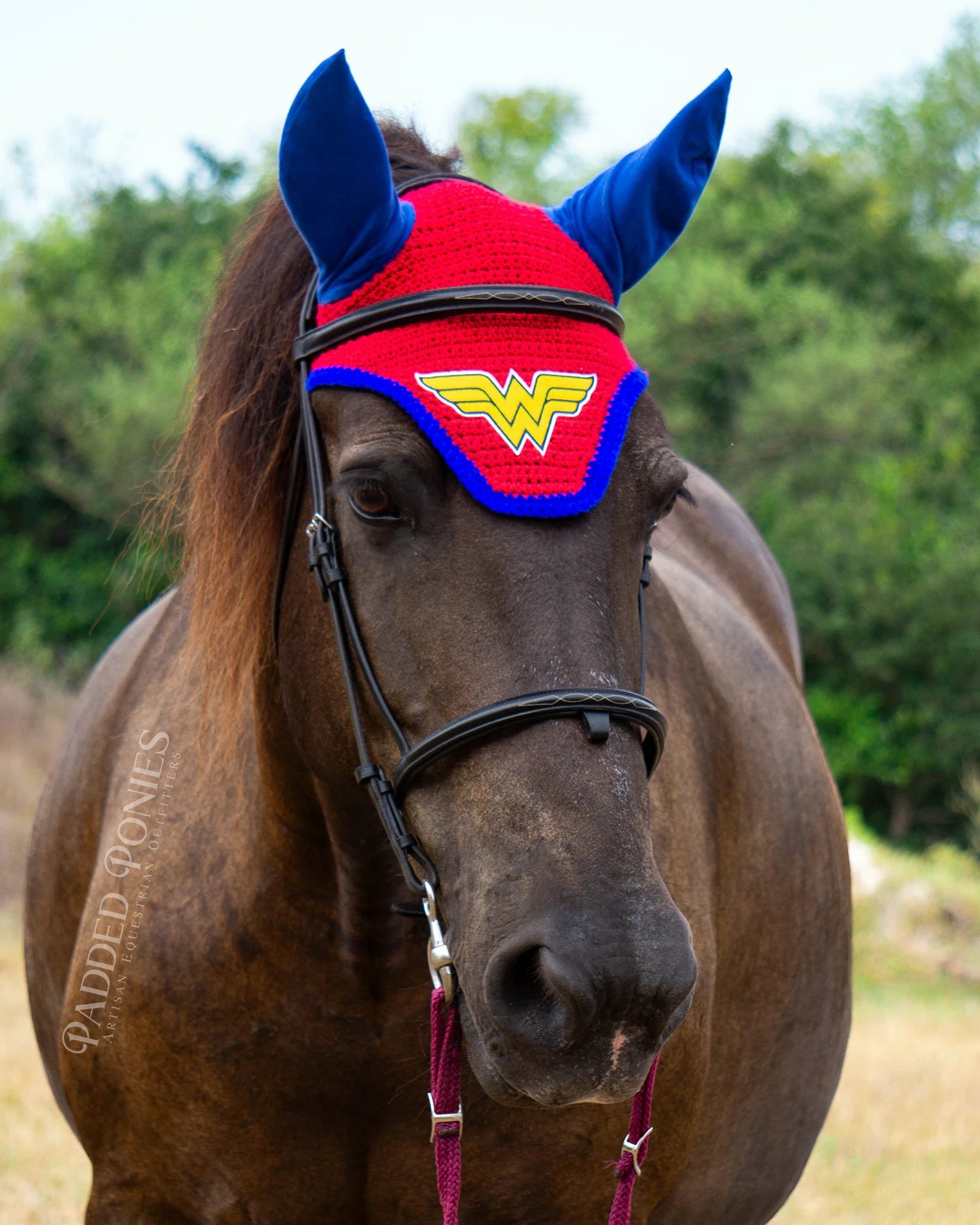 DC Comics Wonder Woman Patch Red and Royal Blue Horse Fly Veil Bonnet