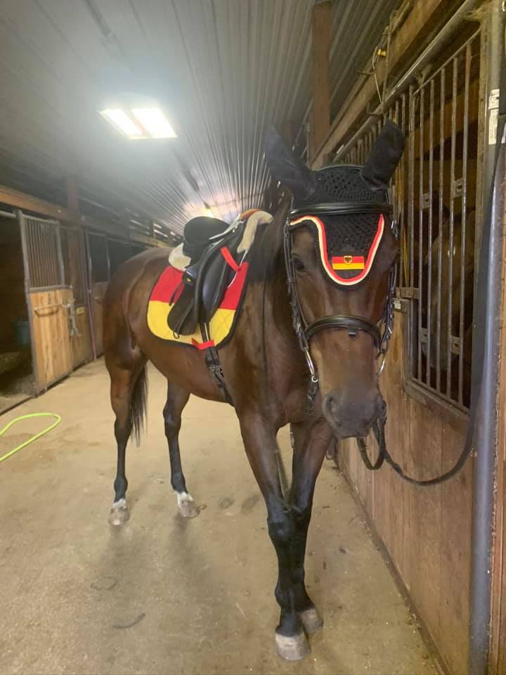 Germany Flag Dressage Saddle Pad Customer Photo