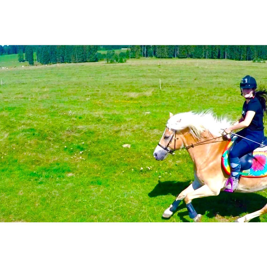 Rainbow Tie Dye Retro All Purpose Saddle Pad Customer Photo