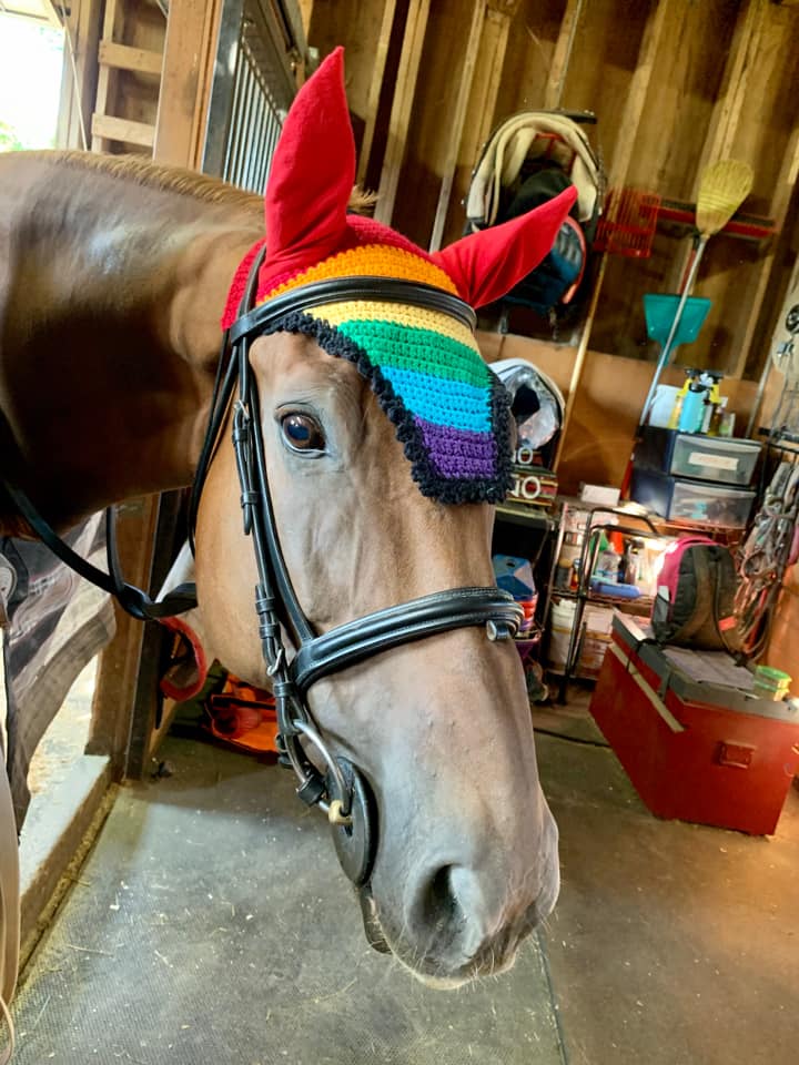 LGBTQ+ Gay Rainbow Flag Fly Veil Bonnet - Customer Photo