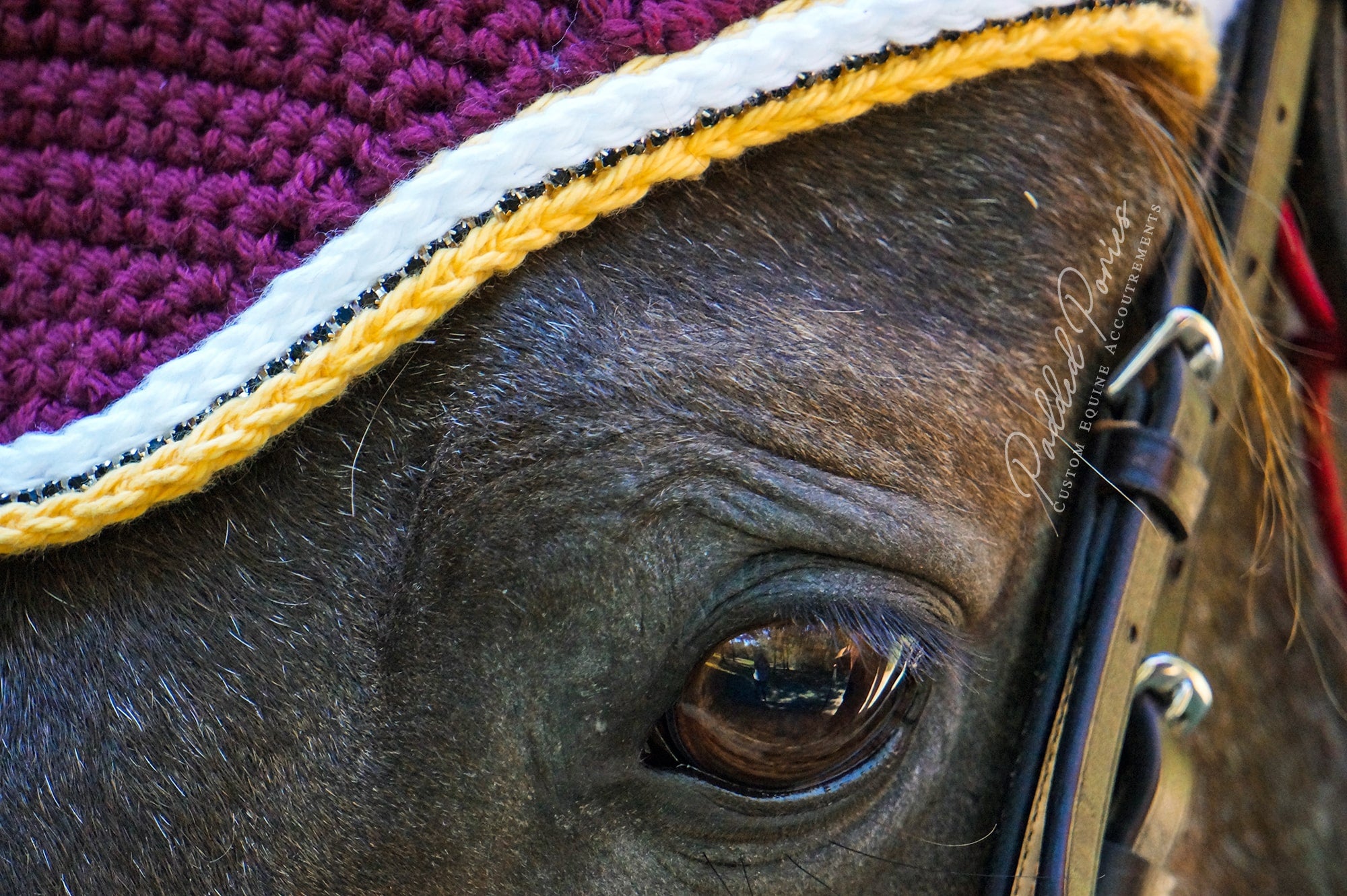 Burgundy and Yellow Fly Bonnet
