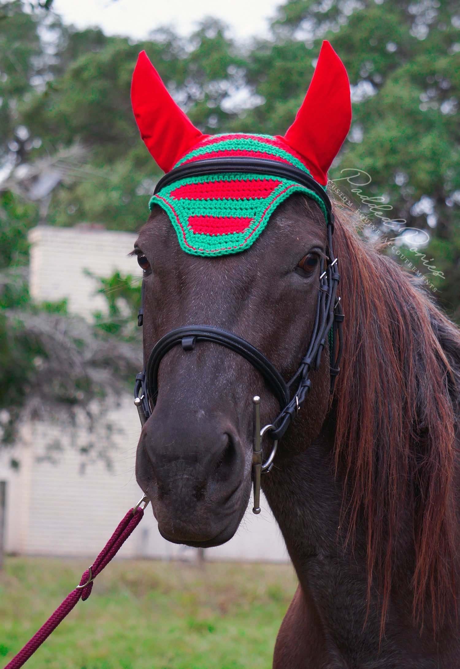 Red and Green Christmas Stripe Fly Bonnet