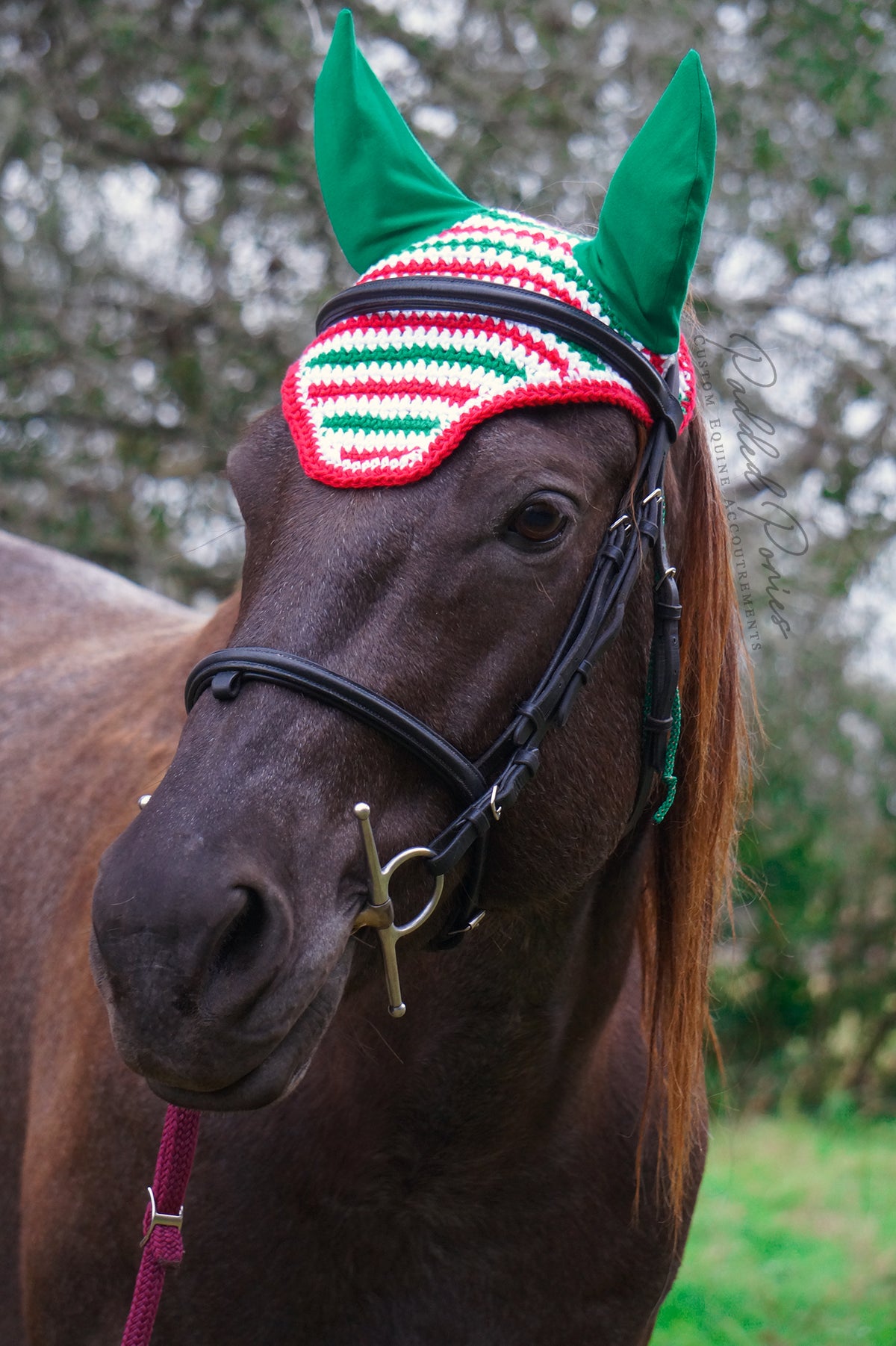 Green, Red, and White Christmas Stripe Fly Bonnet