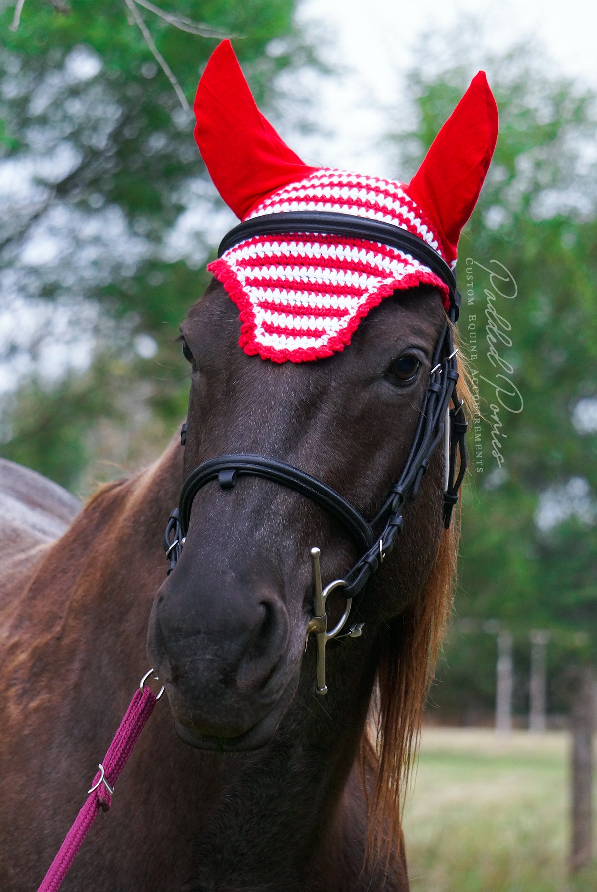 Red and White Christmas Stripe Fly Bonnet