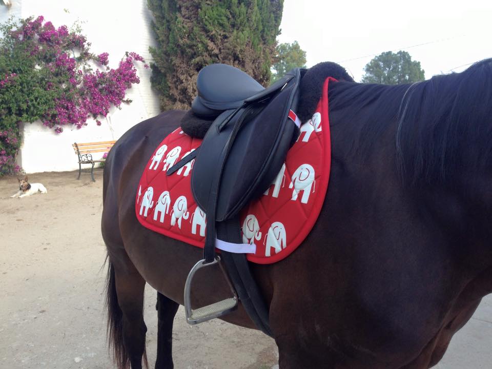 Red Elephants Animal Print All Purpose Saddle Pad Customer Photo