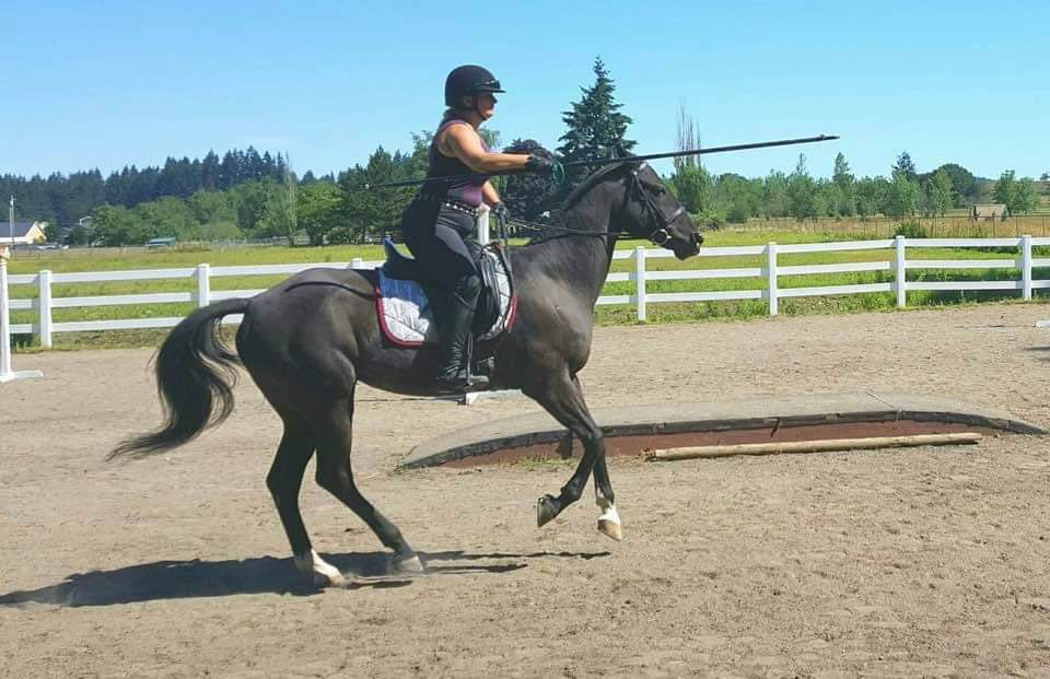 Gray Arrows Print Dressage Saddle Pad Jousting Customer Photo