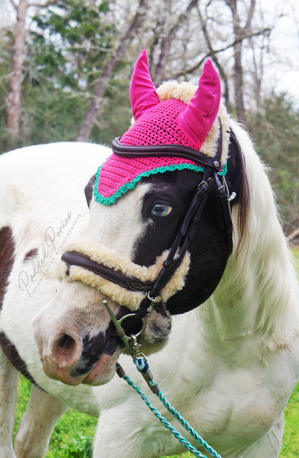 Ready to Ship Pink and Green Watermelon Crochet Ear Fly Bonnet Pony Size